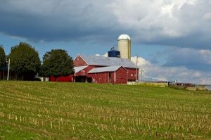 Watch an Amish Community Raise a Barn in Just 10 Hours