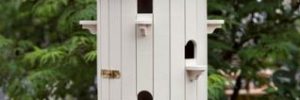 Amish Birdhouse