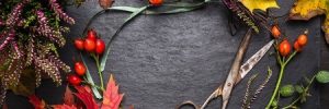 Rustic Fall Elements at Home